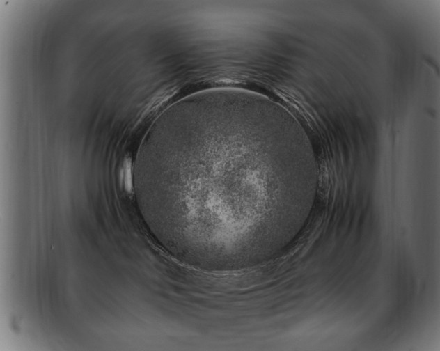 X0000092100046200709121552