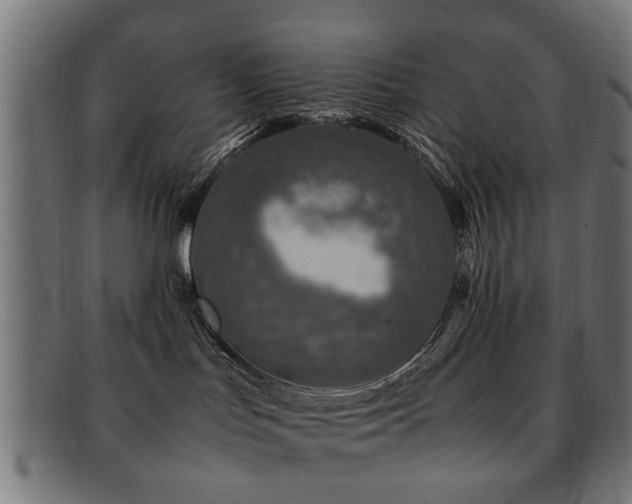 X0000092100047200709121552