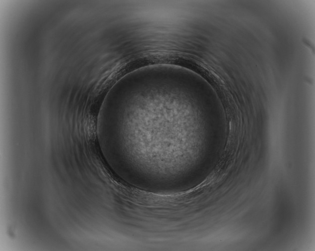 X0000092100048200709121552