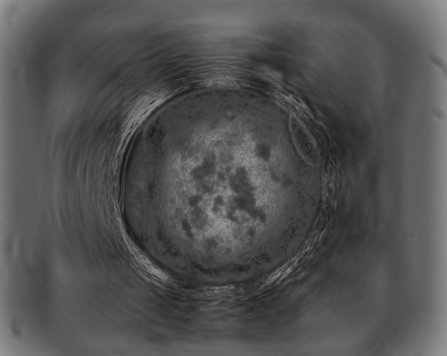 X0000092100049200709121552