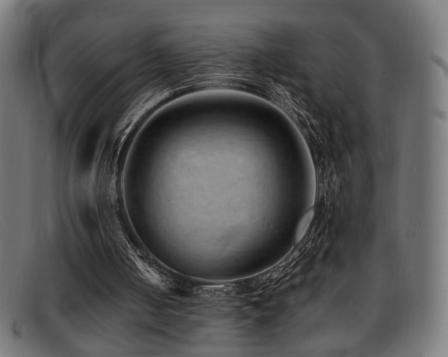 X0000092100050200709121552