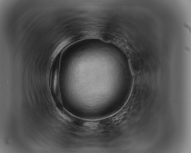 X0000092100051200709121552