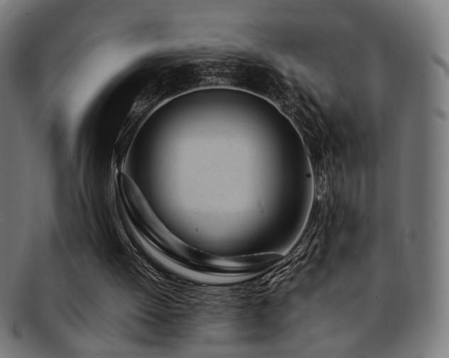 X0000092100052200709121552