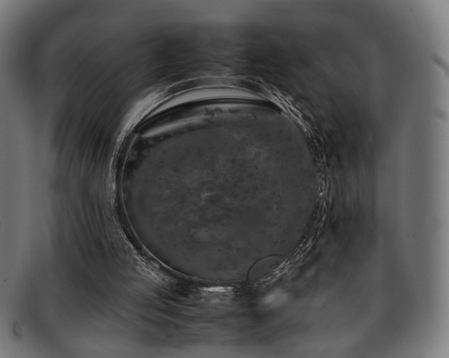 X0000092100053200709121552