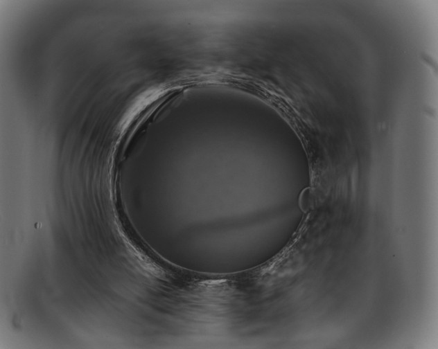 X0000092100054200709121552