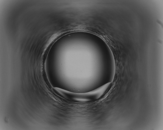 X0000092100056200709121552