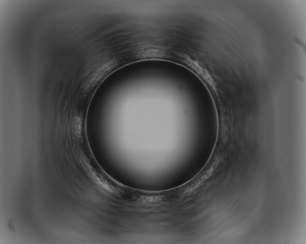 X0000092100057200709121552