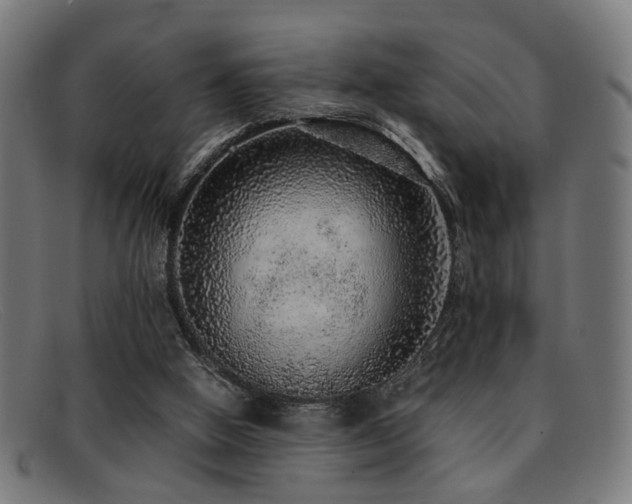 X0000092100058200709121552