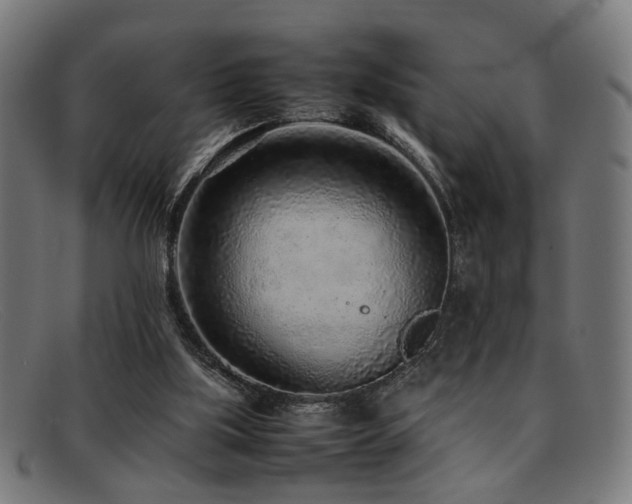 X0000092100059200709121552