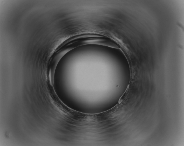 X0000092100060200709121552