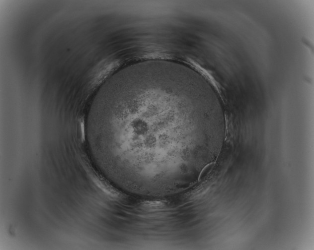 X0000092100061200709121552