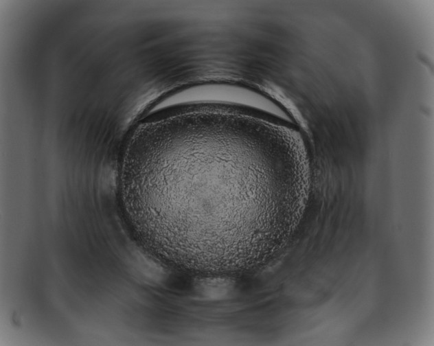 X0000092100063200709121552