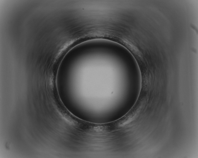 X0000092100064200709121552