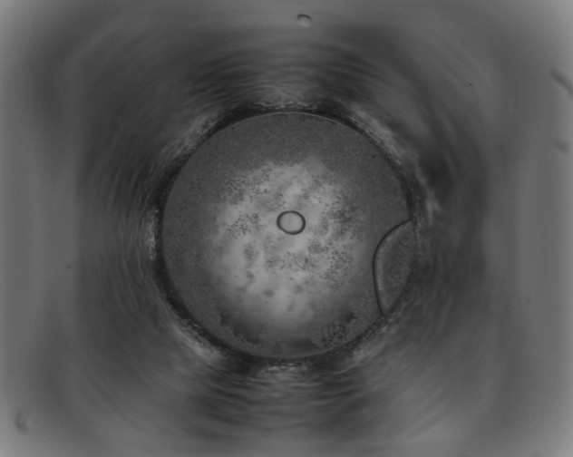 X0000092100065200709121552