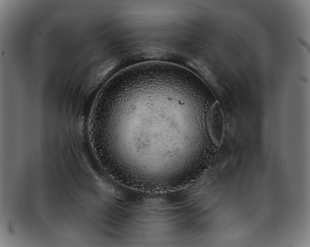 X0000092100066200709121552