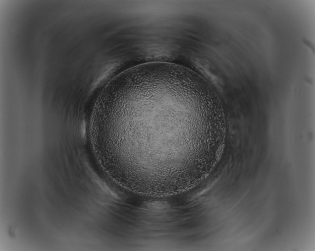 X0000092100067200709121552