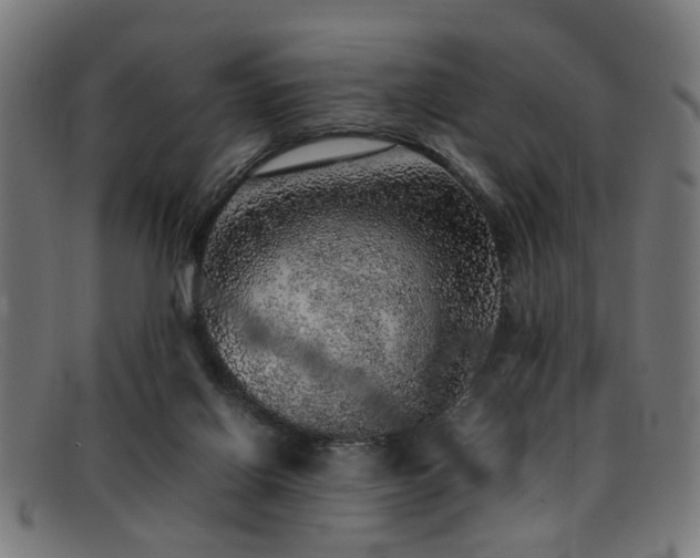 X0000092100070200709121552