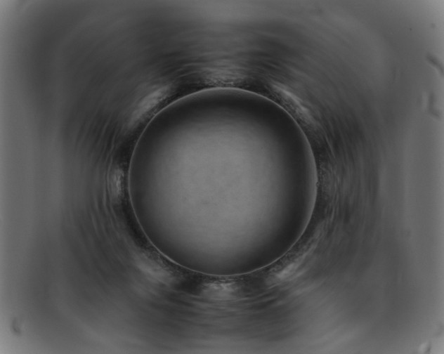 X0000092100071200709121552