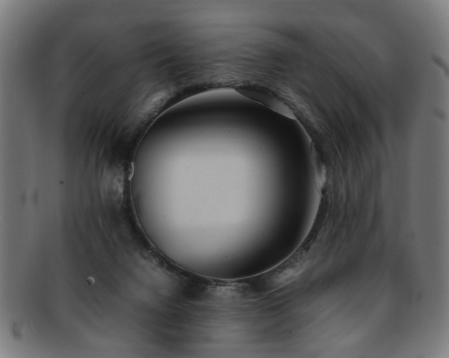 X0000092100072200709121552