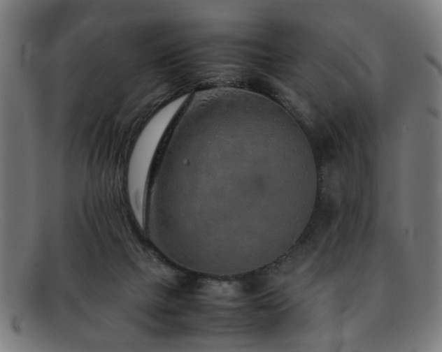 X0000092100073200709121552