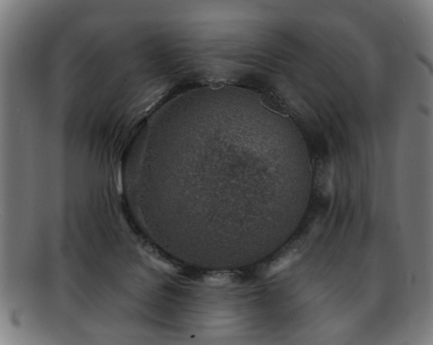 X0000092100076200709121552