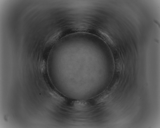 X0000092100077200709121552