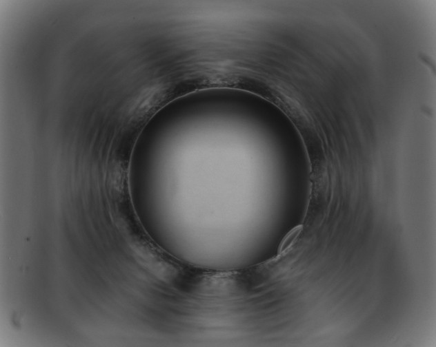 X0000092100078200709121552