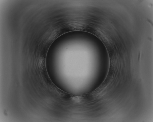 X0000092100079200709121552