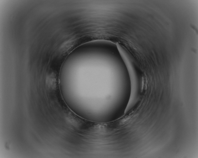 X0000092100080200709121552