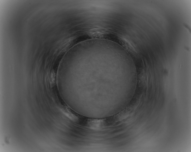 X0000092100081200709121552