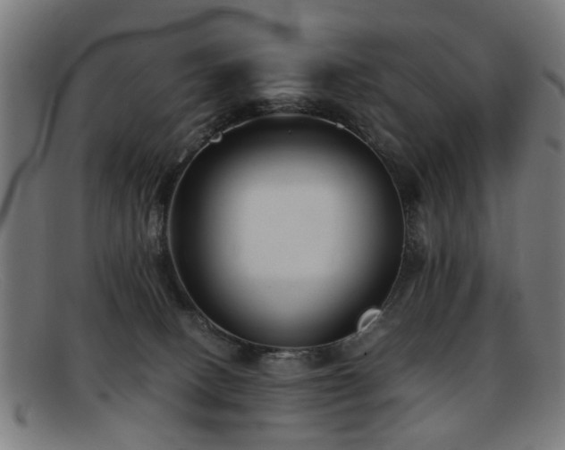 X0000092100082200709121552