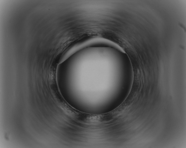 X0000092100084200709121552