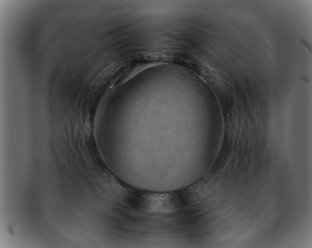 X0000092100085200709121552