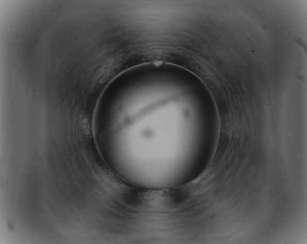 X0000092100086200709121552