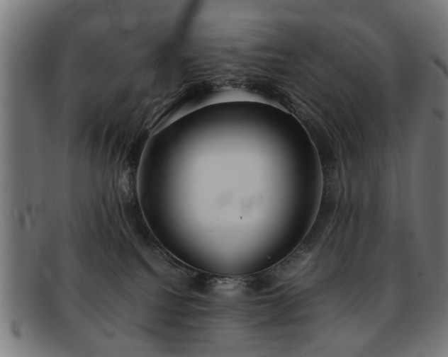 X0000092100088200709121552