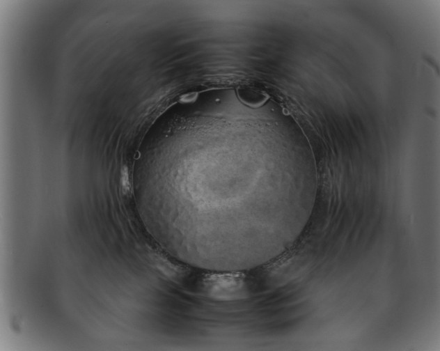 X0000092100089200709121552