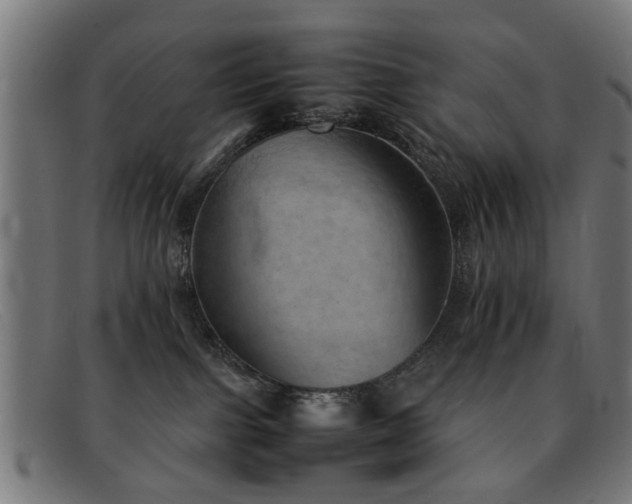 X0000092100091200709121552