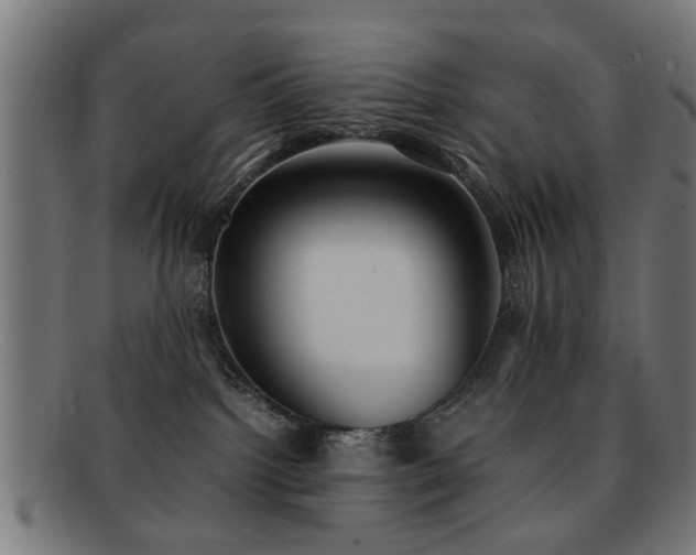 X0000092100092200709121552