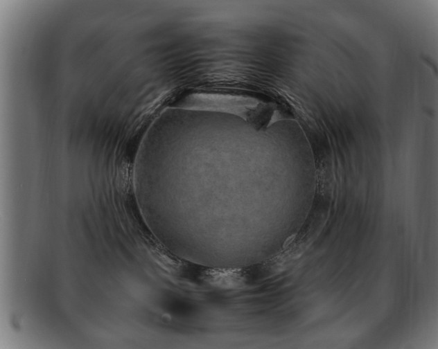 X0000092100093200709121552