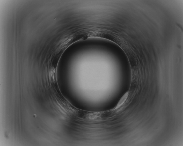 X0000092100094200709121552