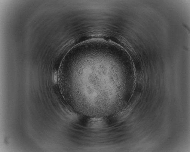 X0000092100095200709121552