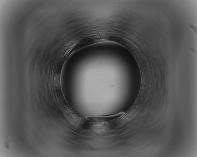 X0000092100096200709121552