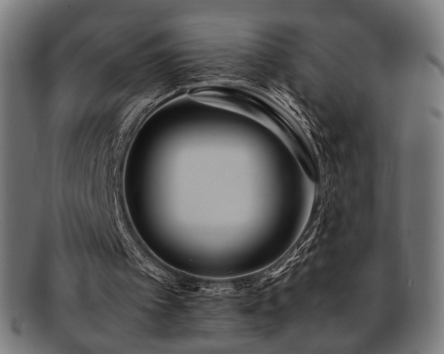 X0000092100097200709121552