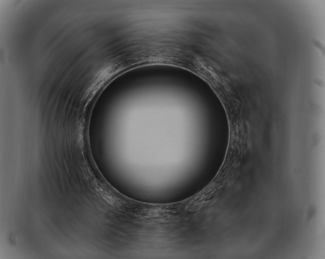 X0000092100098200709121551