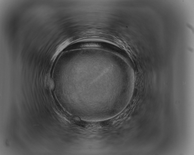 X0000092100099200709121551