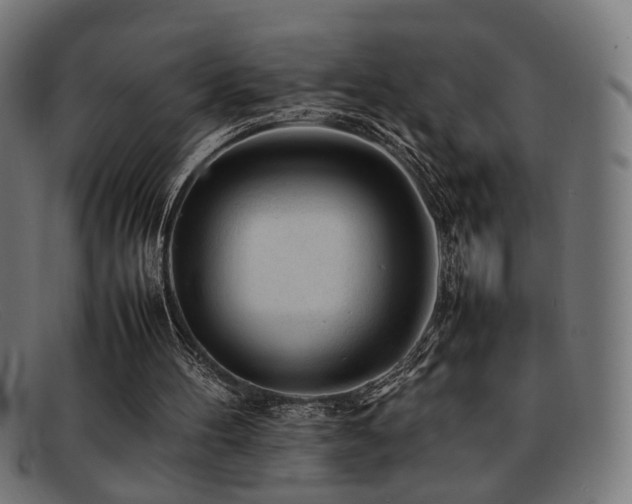 X0000092100100200709121551