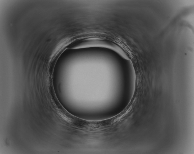 X0000092100101200709121551