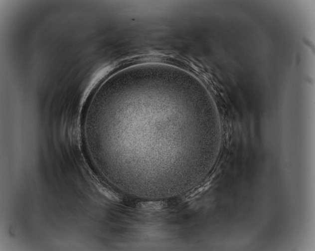 X0000092100102200709121551