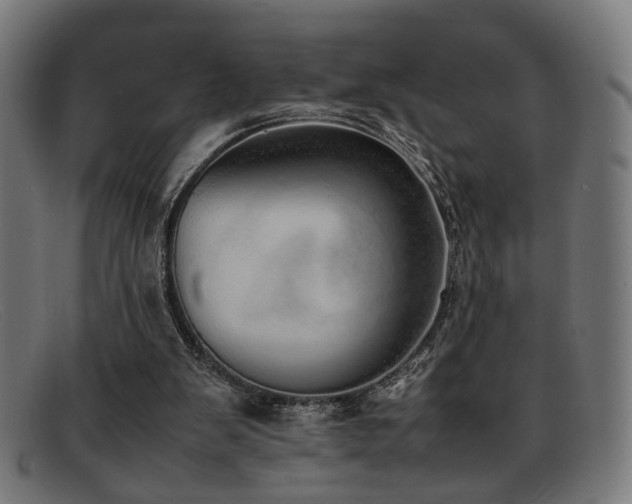 X0000092100103200709121551