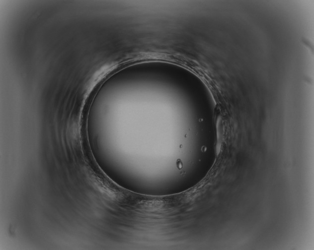 X0000092100104200709121551